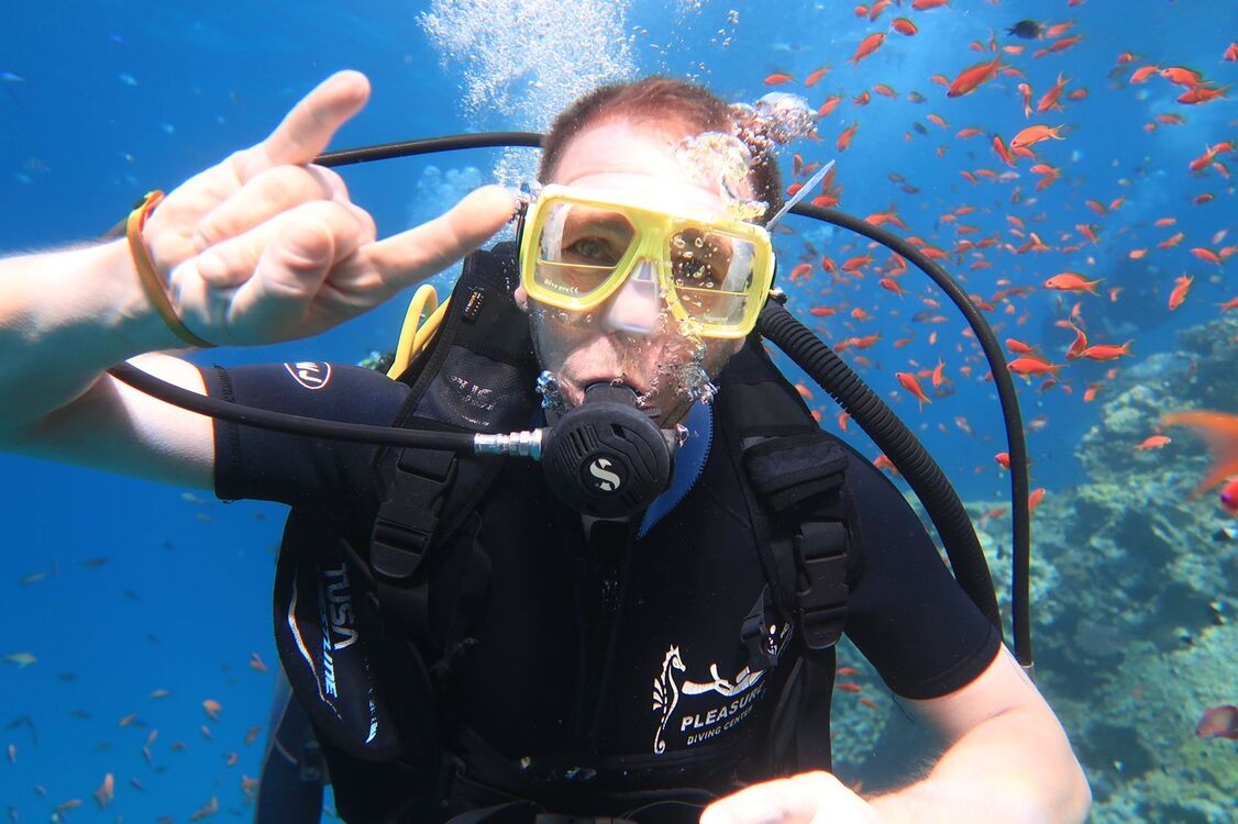 ���� 25989449 ������� ���������, 44 ����, ���� ���������� � ��������������-����������