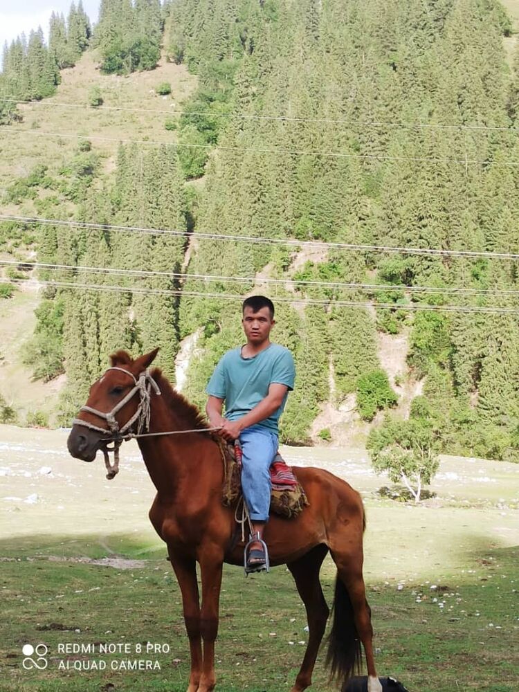 ���������� ������, ���� ������� �����, 29 ���, ������������ ��� ������, ����� � ���������, c�������� ���������, ���������