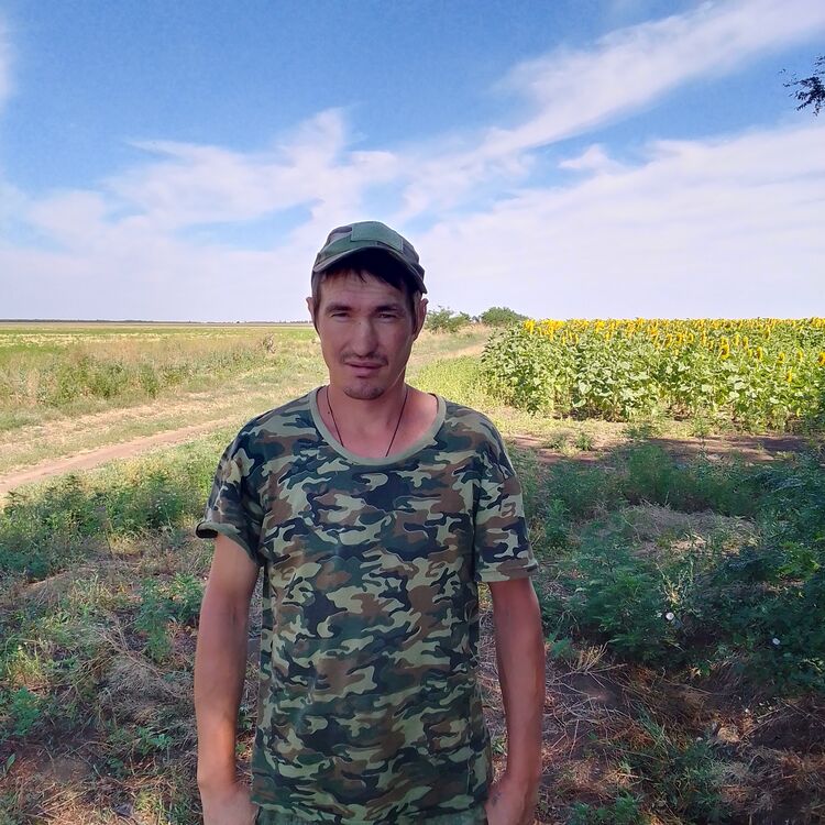 ���� 36213579 ������� �����, 38 ���, ���� ���������� � ������