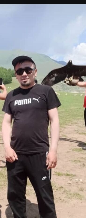 ���� 44106209 ������� ���, 33 ����, ���� ���������� � �������