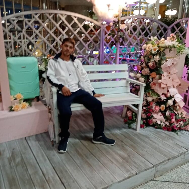  20329049  , 34 ,    