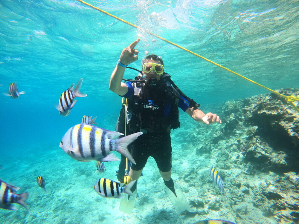 ���� 55395599 ������� �������, 45 ���, ���� ���������� � �������������