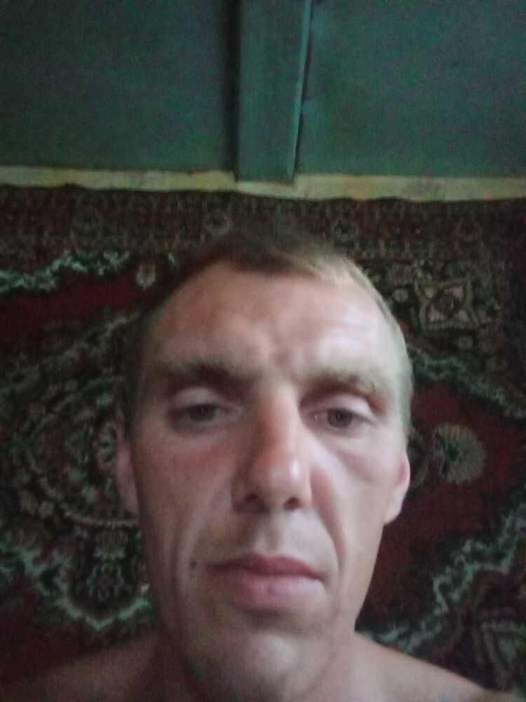  45649619  , 33 ,    