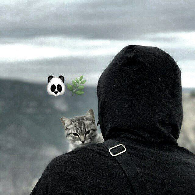 ���� 27842529 ������� ���, 31 ���, ���� ���������� � �������