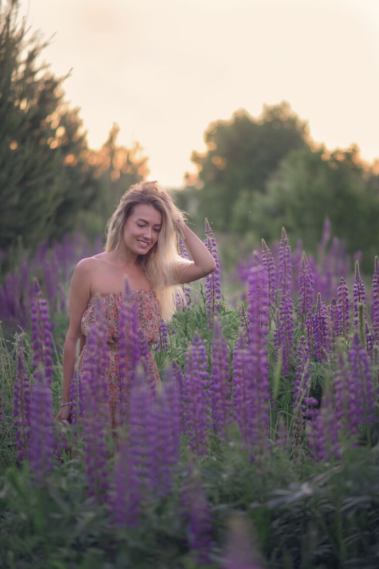 ���������� ������, ���� ������� ����, 40 ���, ������������ ��� ������, ����� � ���������