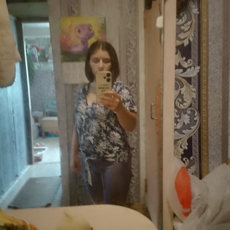  53194739  , 28 ,    