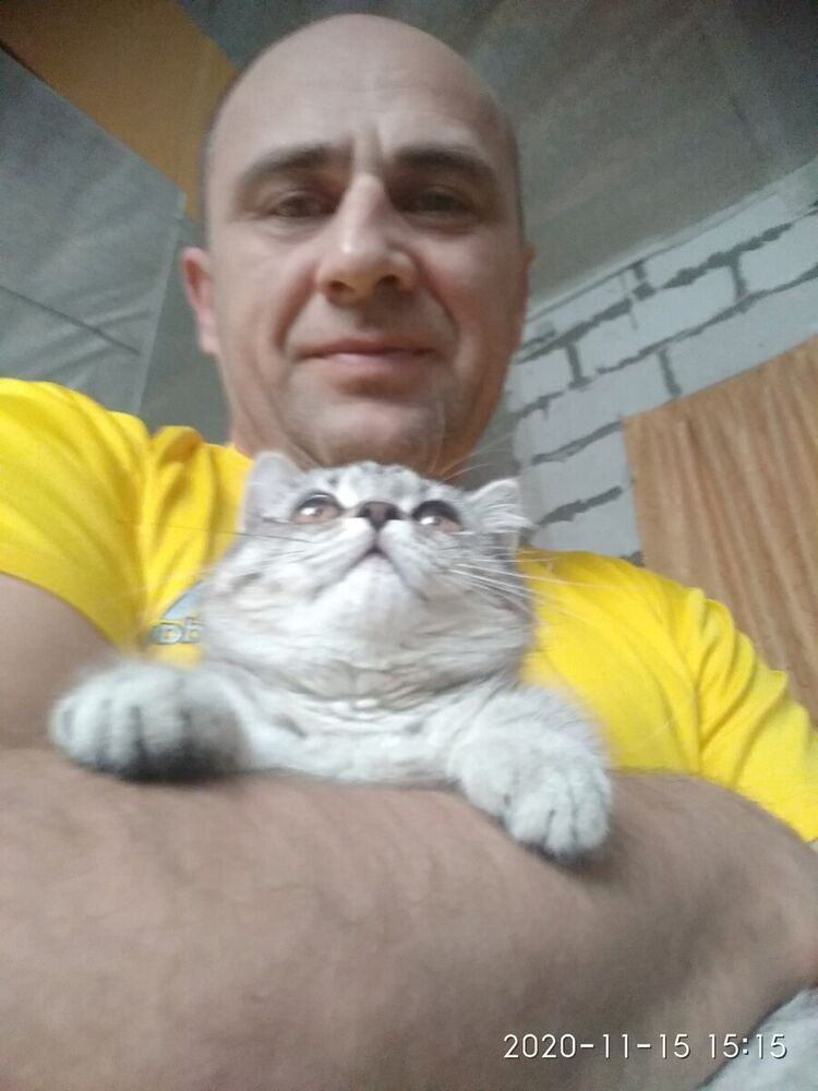 ���� 22101429 ������� �������, 51 ���, ���� ���������� � ������������