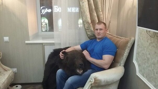 ���� 17719439 ������� �������, 38 ���, ���� ���������� � ������ ���������