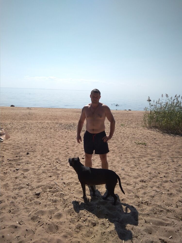  13024599  , 43 ,    -