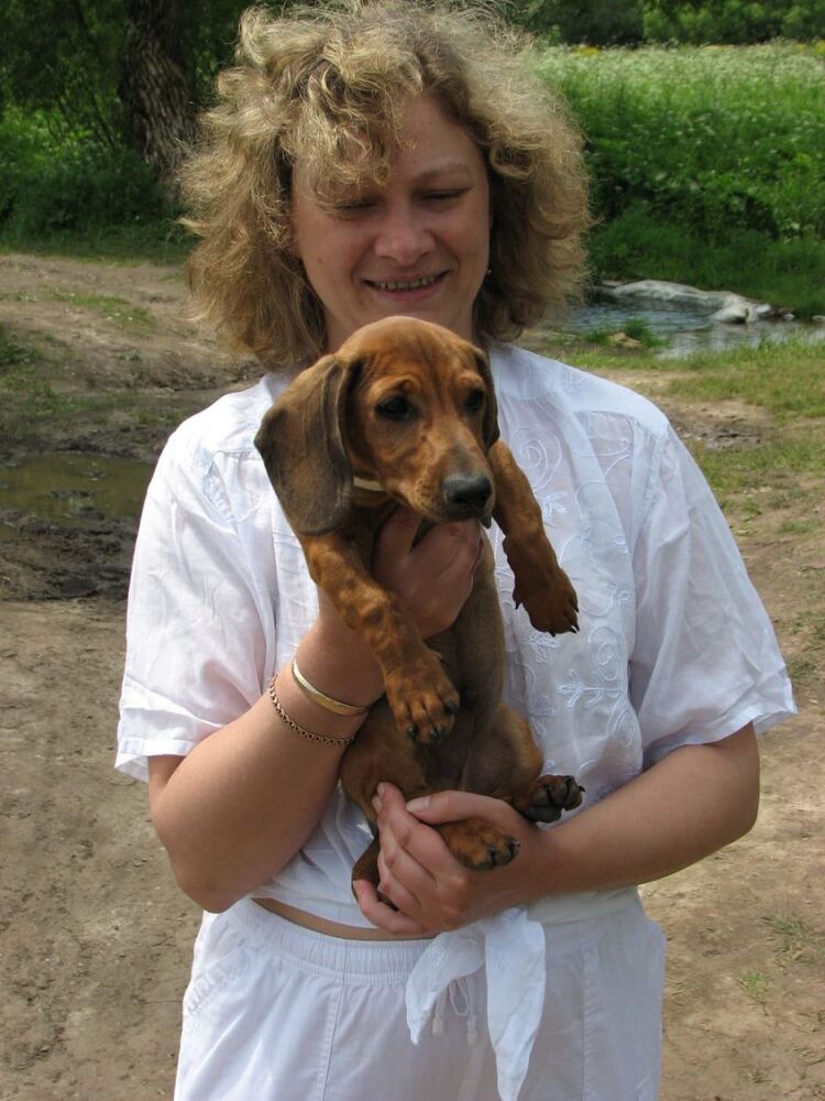 ���� 50116839 ������� �����, 19 ���, ���� ���������� � ������