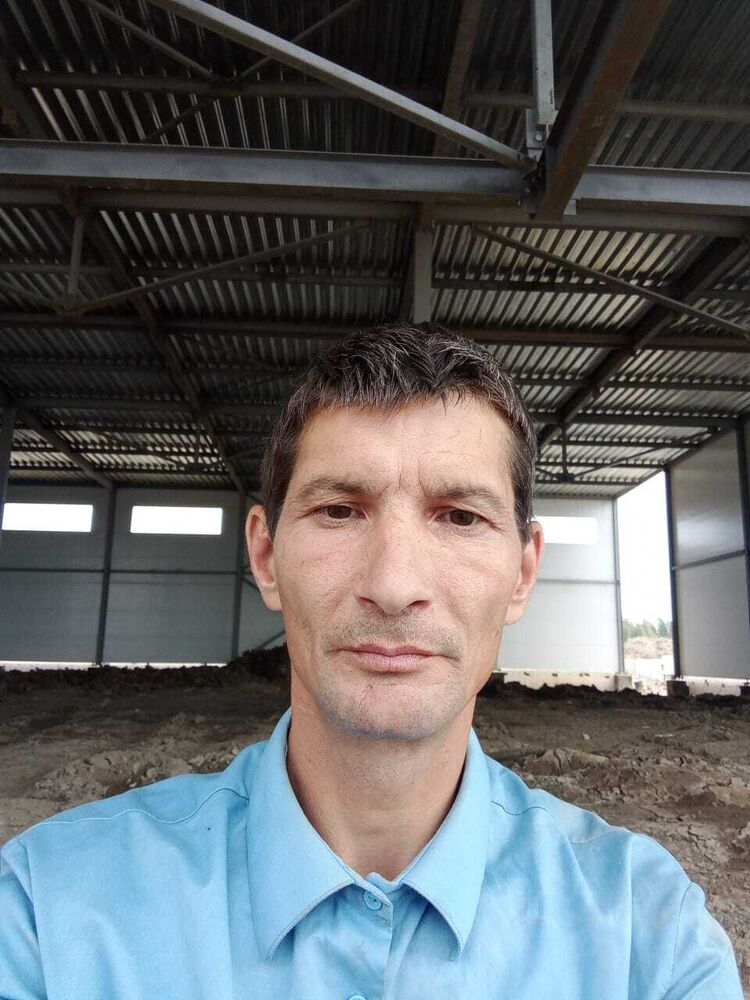  44650259  , 44 ,    -