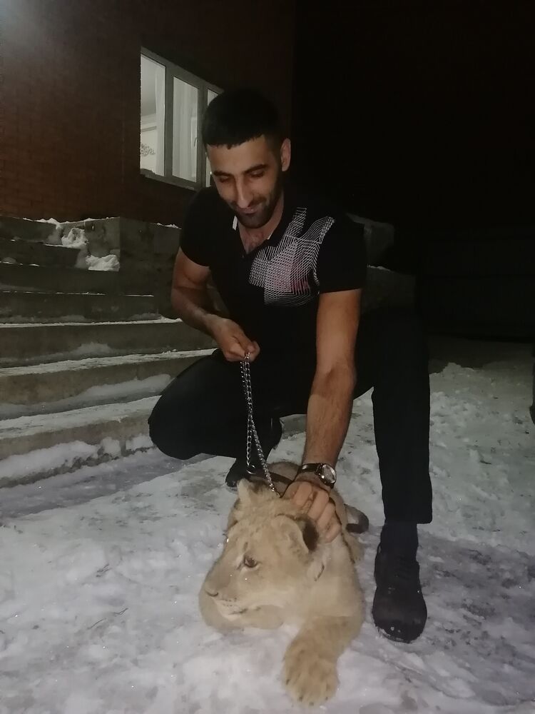 ���� 25319019 ������� Raf, 34 ����, ���� ���������� � ����