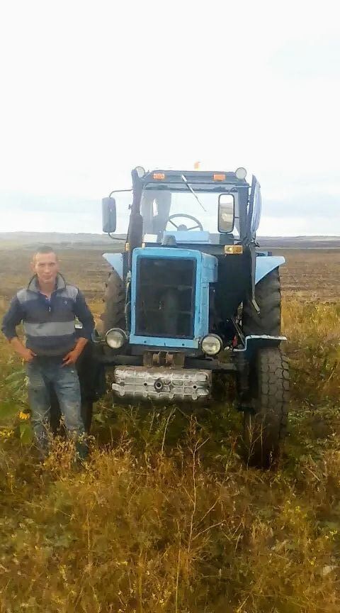 ���� 43530639 ������� �������, 38 ���, ���� ���������� � �������