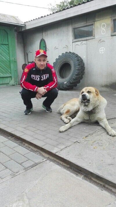 ���� 21453499 ������� ������, 39 ���, ���� ���������� � ����������