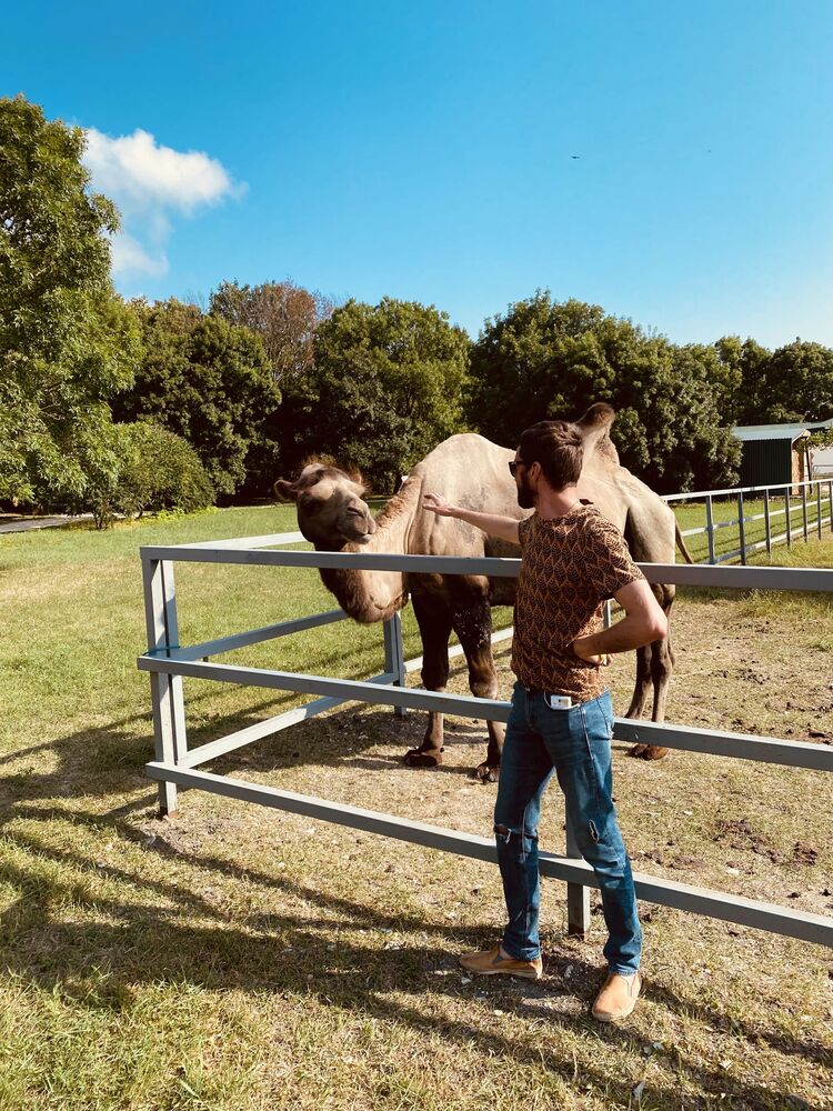 ���� 37182259 ������� ������, 36 ���, ���� ���������� � �����