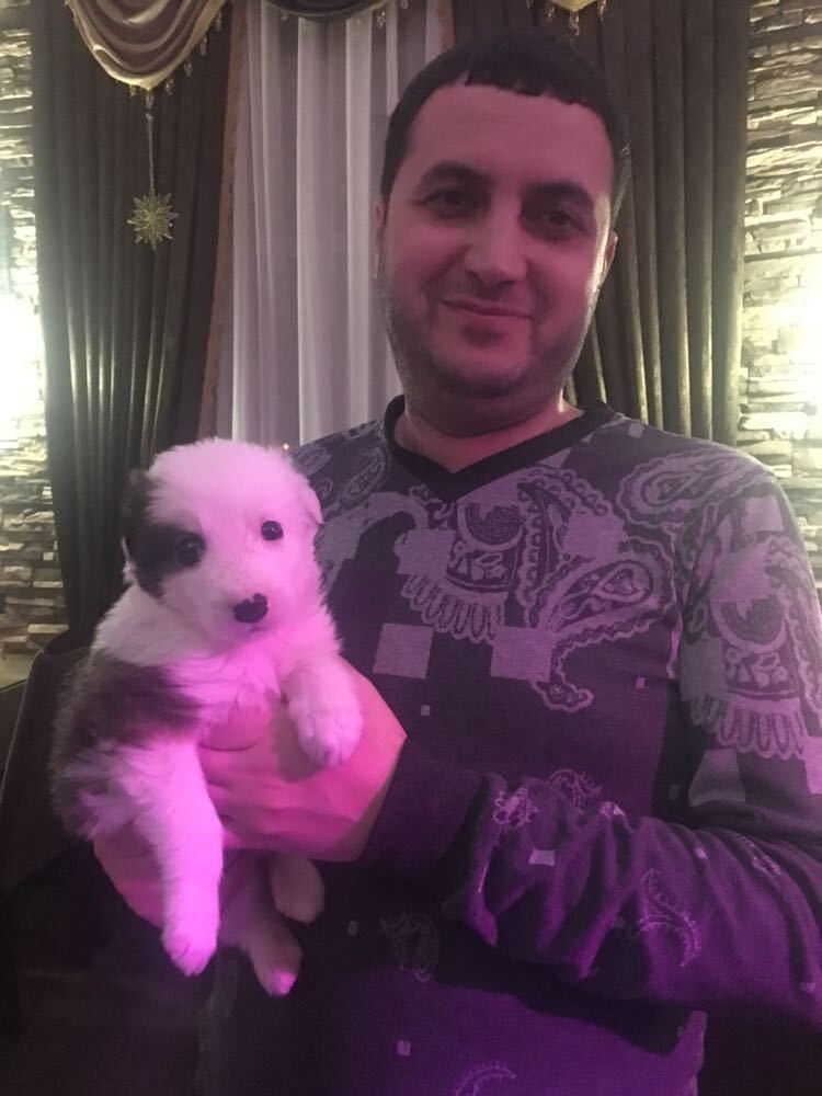 ���� 10951029 ������� ����, 40 ���, ���� ���������� � ���������