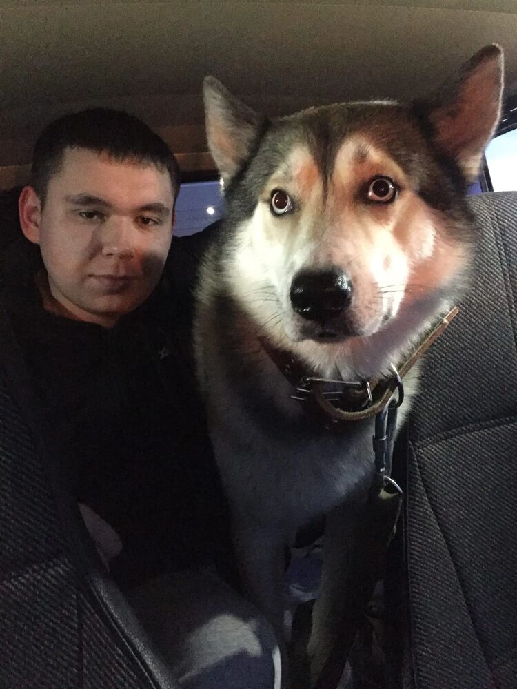 ���� 33342529 ����� ����, 25 ���, ���� ���������� � ���������