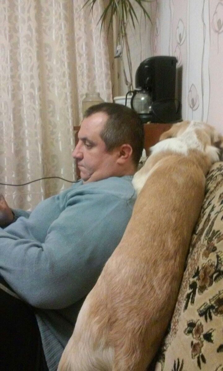 ���������� ����, ���� ������� ��������, 49 ���, ������������ ��� ������, ����� � ���������, c�������� ���������