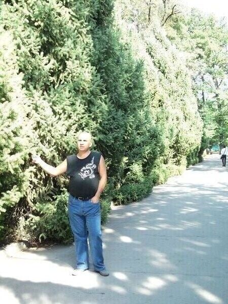  ,   Evro, 46 ,   ,   