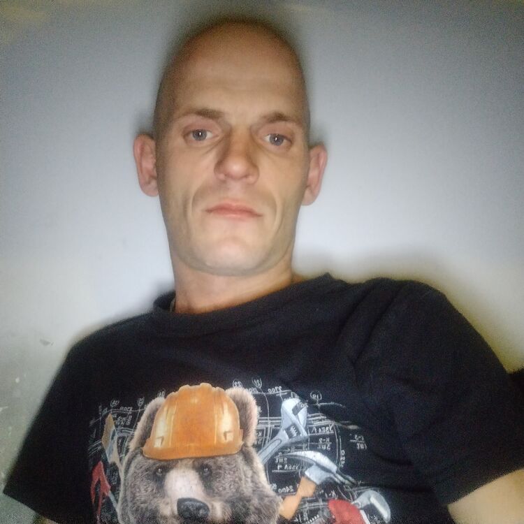  47854929  , 36 ,    