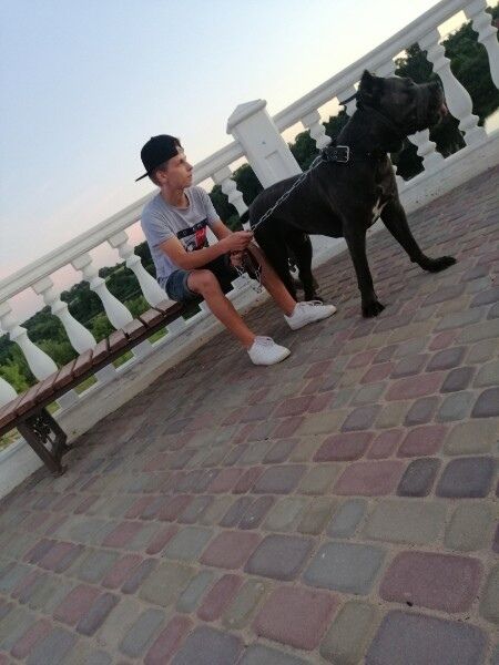  ,   Denis, 25 ,   ,   