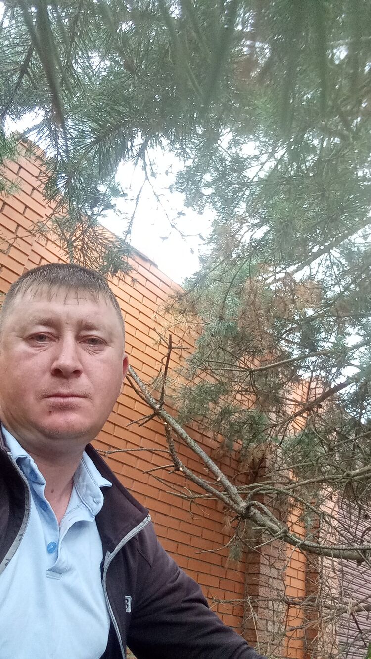 ���� 56183219 ������� ���������, 36 ���, ���� ���������� � ������