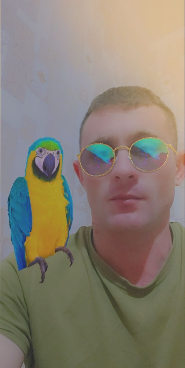  31490709  Andrei, 37 ,    