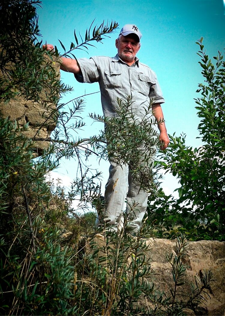 ���������� �����, ���� ������� �����, 74 ����, ������������ ��� c�������� ���������