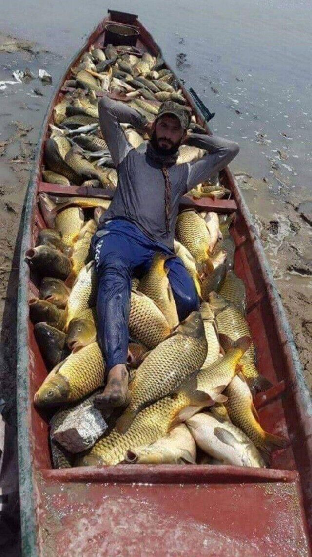 ���� 56270039 ������� ����, 39 ���, ���� ���������� � ��������