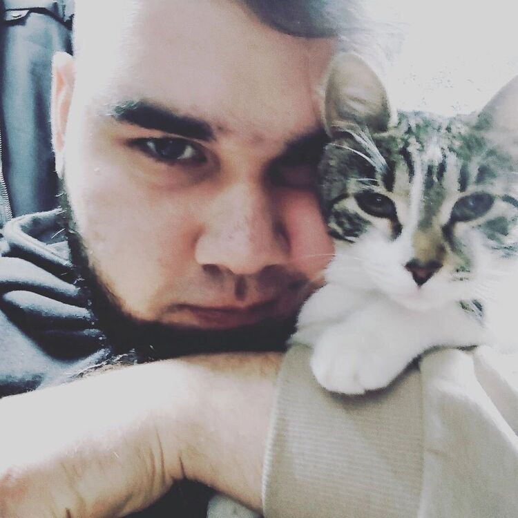 ���������� ������, ���� ������� ����, 26 ���, ������������ ��� ������, ����� � ���������, c�������� ���������