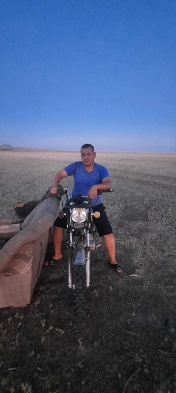  40862549  , 43 ,    