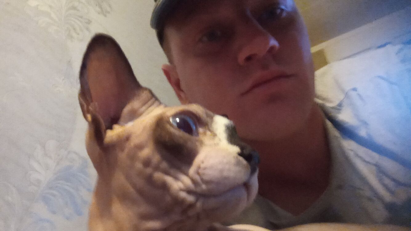 ���� 29672669 ������� ����, 35 ���, ���� ���������� � ��������