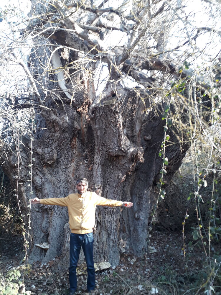  ,   Rasad, 46 ,   ,   
