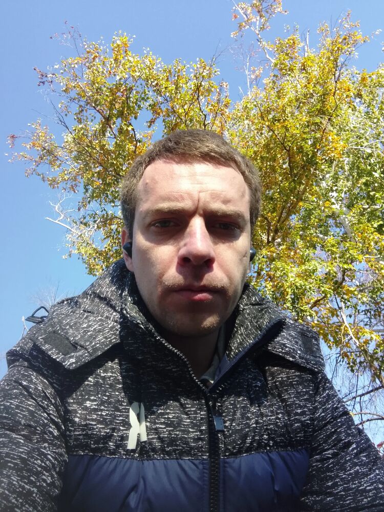 53336059  , 33 ,    