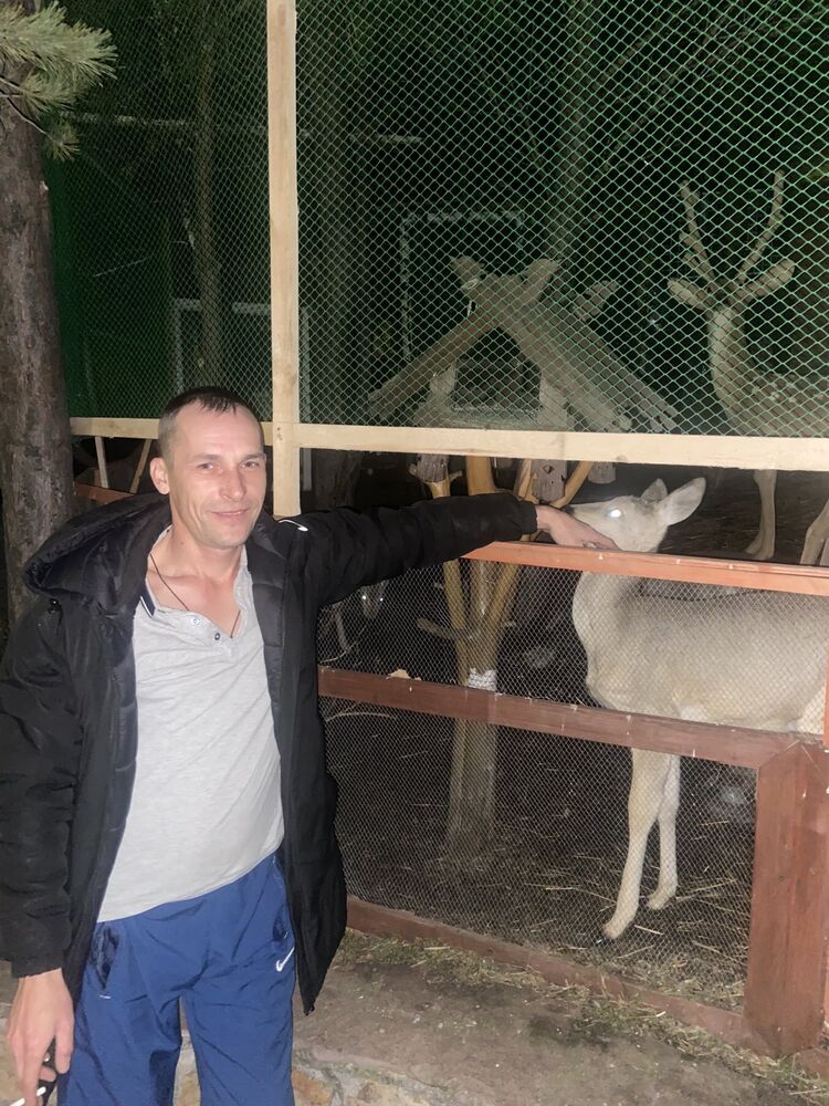 ���������� ������ ��������, ���� ������� ���������, 43 ����, ������������ ��� ������, ����� � ���������, c�������� ���������, ���������