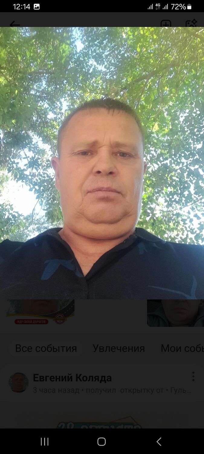  53455939  , 49 ,    