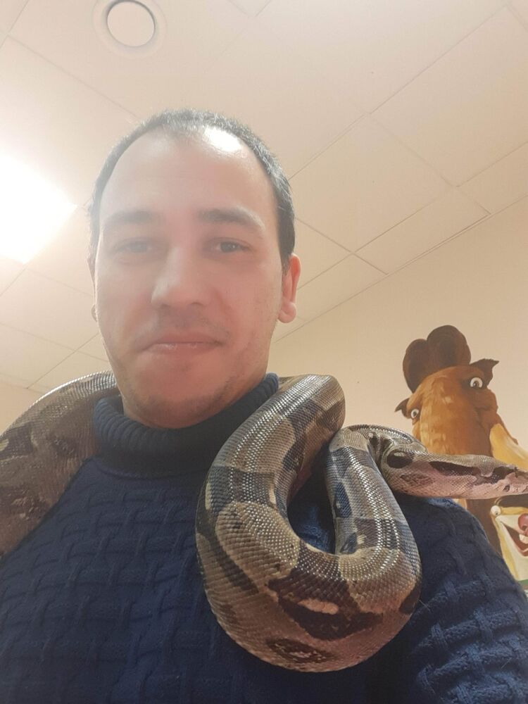 ���������� ����������, ���� ������� ������, 41 ���, ������������ ��� ������, ����� � ���������, ���������