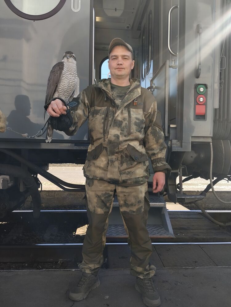 ���������� ������, ���� ������� ������, 39 ���, ������������ ��� ������, ����� � ���������, c�������� ���������