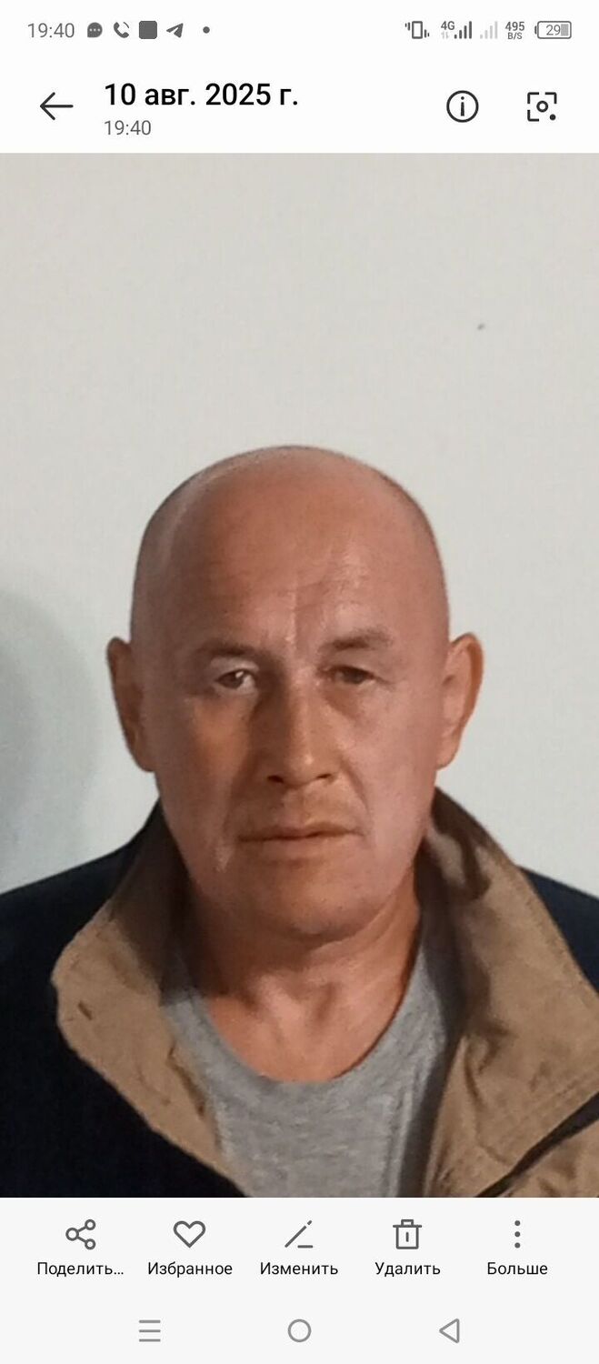 ���� 53149399 ������� �����, 50 ���, ���� ���������� � ��������