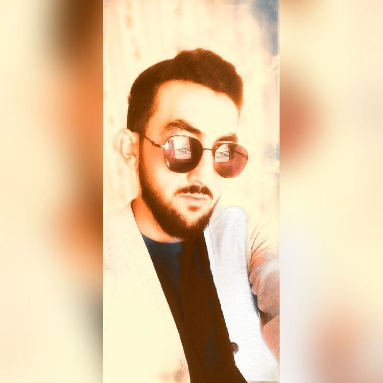  41538879  , 31 ,    