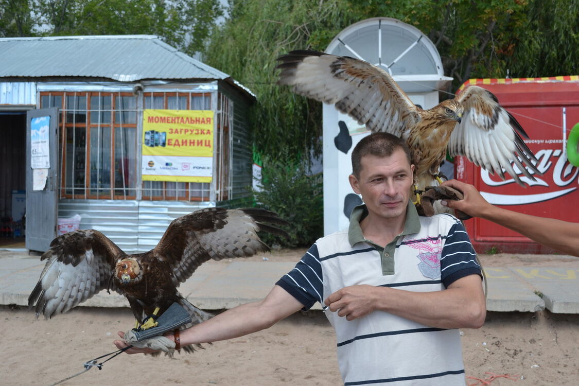 ���������� ������, ���� ������� ������, 53 ����, ������������ 