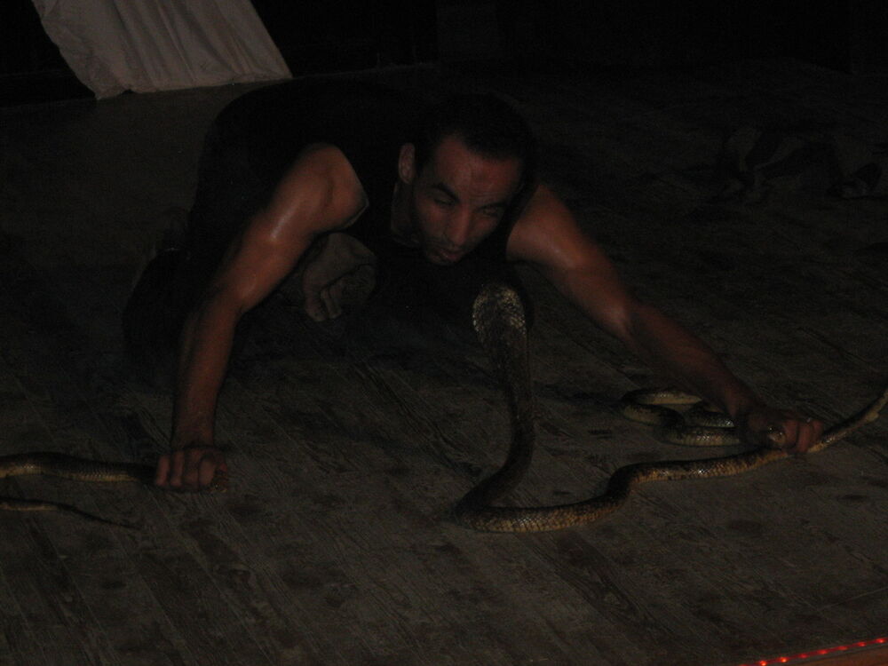  4967909  89084206077, 51 ,    