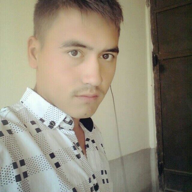  52564949  , 27 ,    