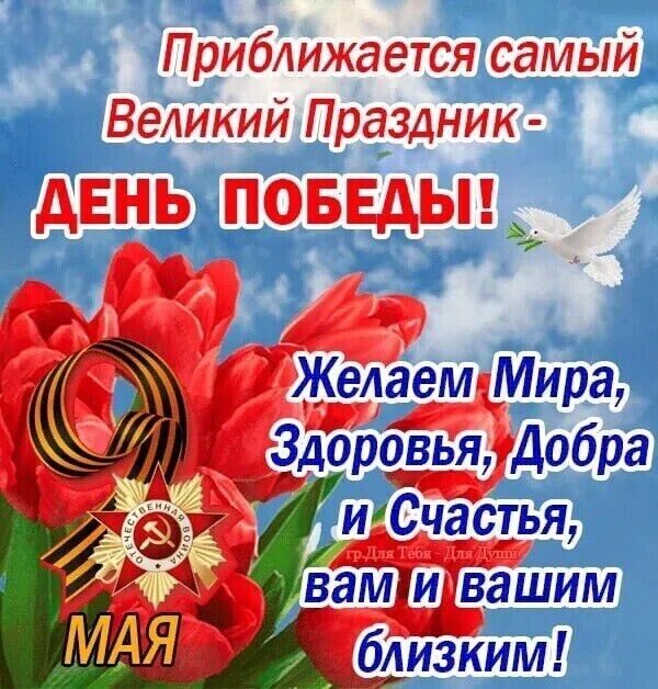 ���� 26316279 ������� �������, 52 ����, ���� ���������� � ����������