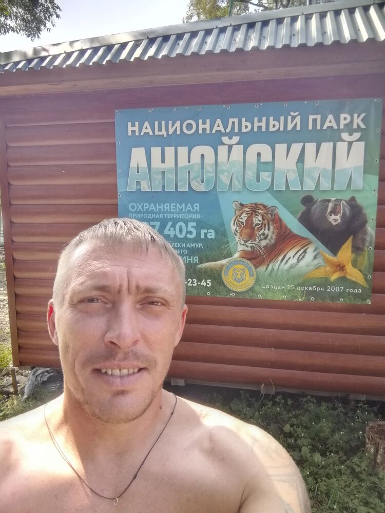  53155379  , 41 ,    --