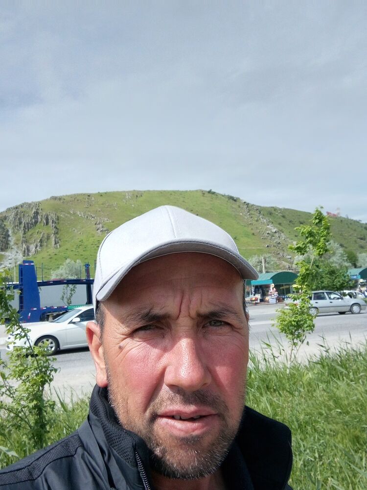  42849039  , 44 ,    