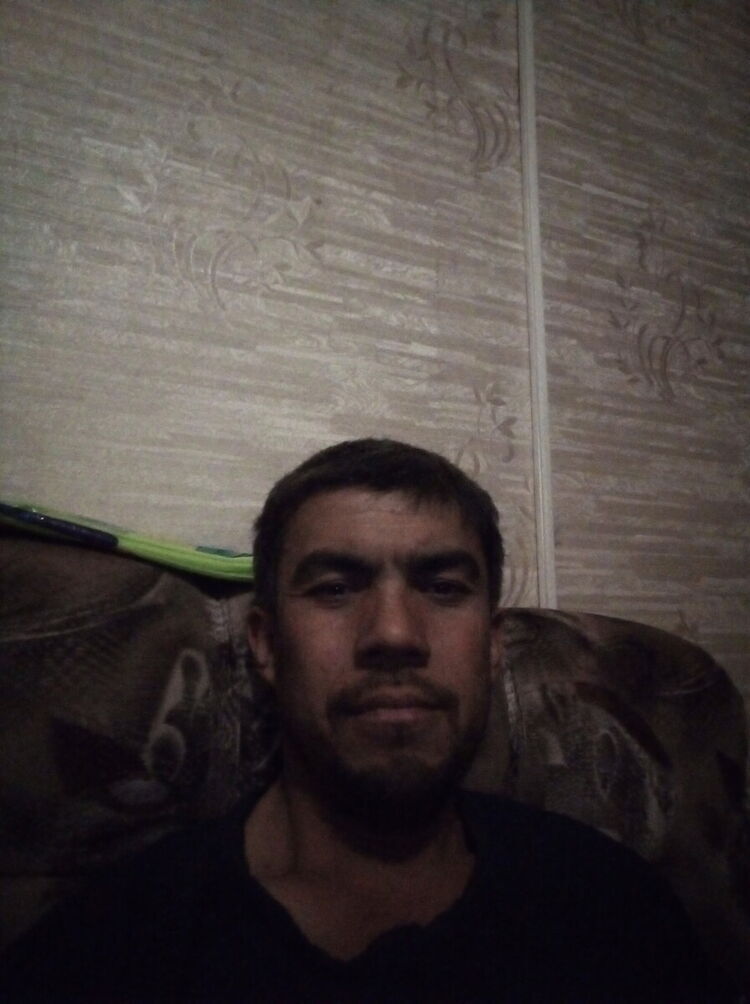  50098949  , 31 ,    