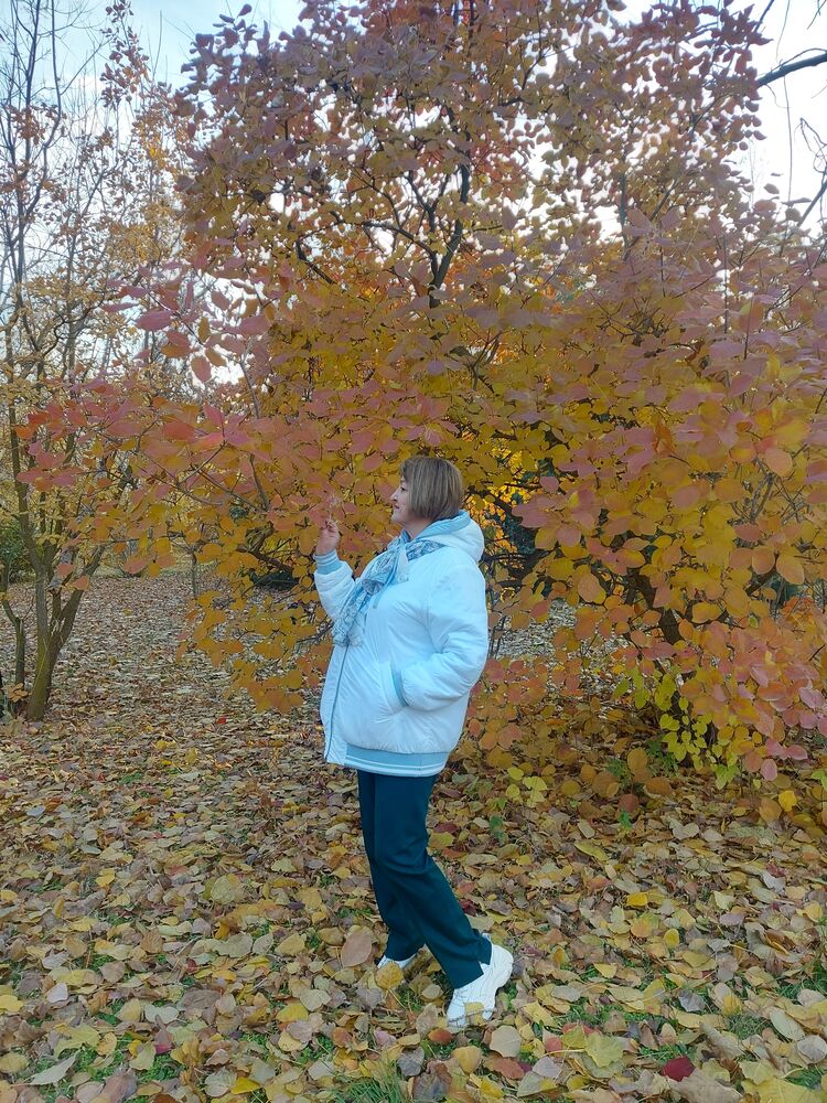  ,   , 68 ,  