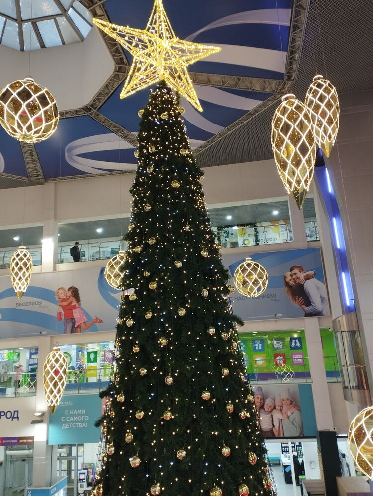 ���� 39902609 ����� ���, 21 ���, ���� ���������� � �������