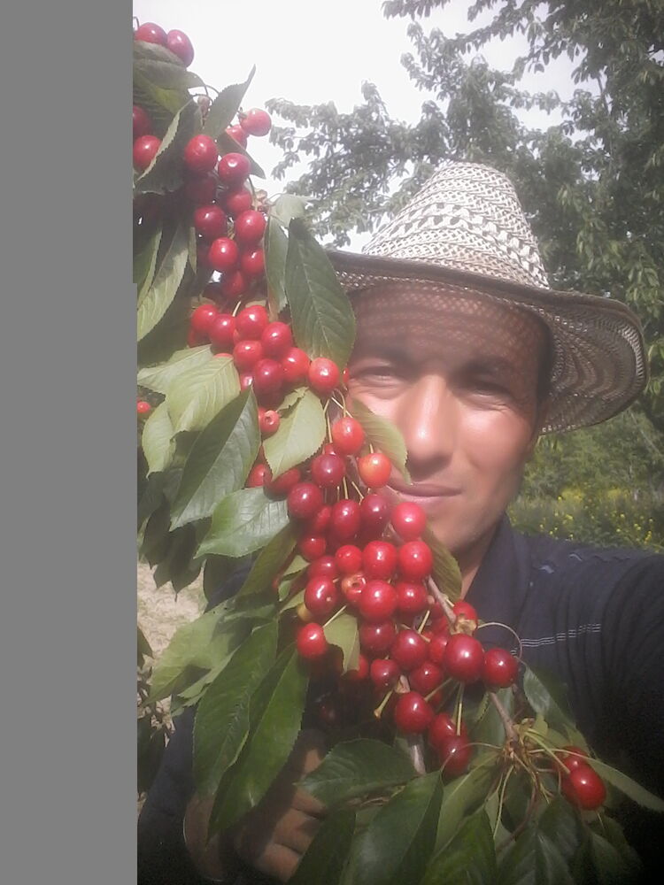 ���������� ���������, ���� ������� ����, 39 ���, ������������ ��� ������, ����� � ���������